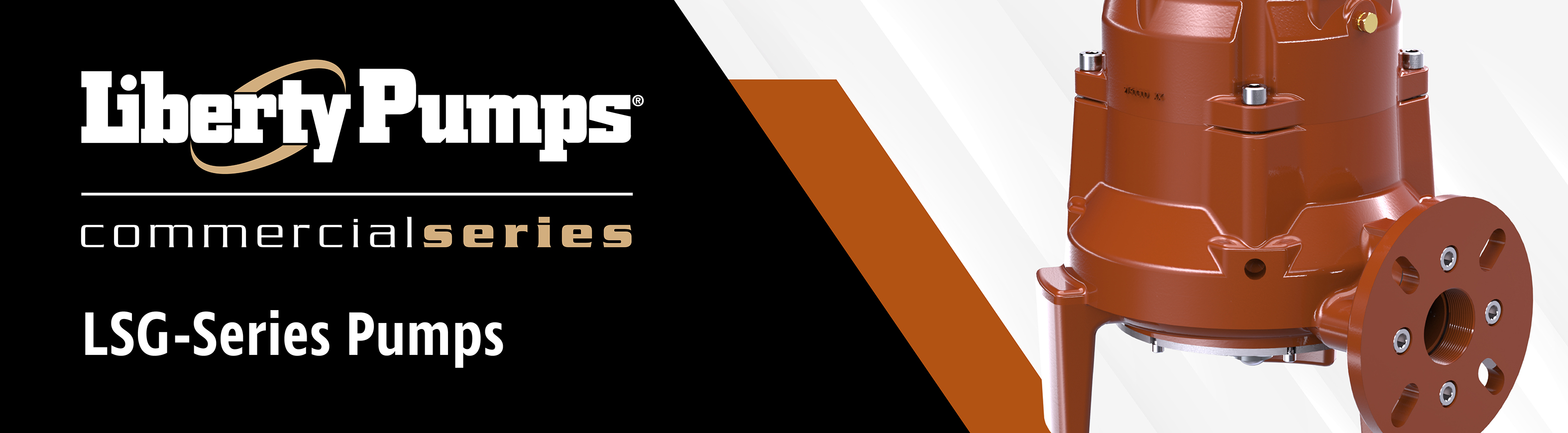 LSG-Series-Header-01.jpg